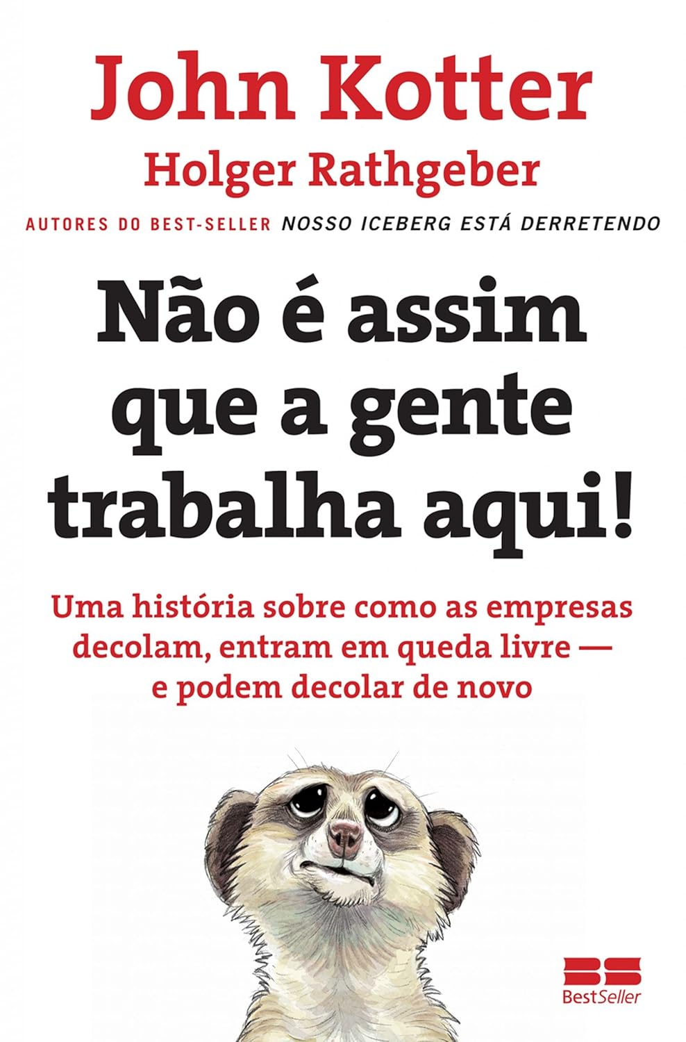 Não é assim que a gente trabalha aqui! (Portuguese Edition)